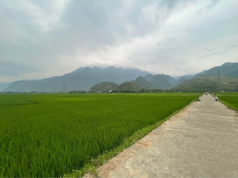 Hanoi to Van Son Cycling Tour 3 Days: Explore the Roof of Muong Bi